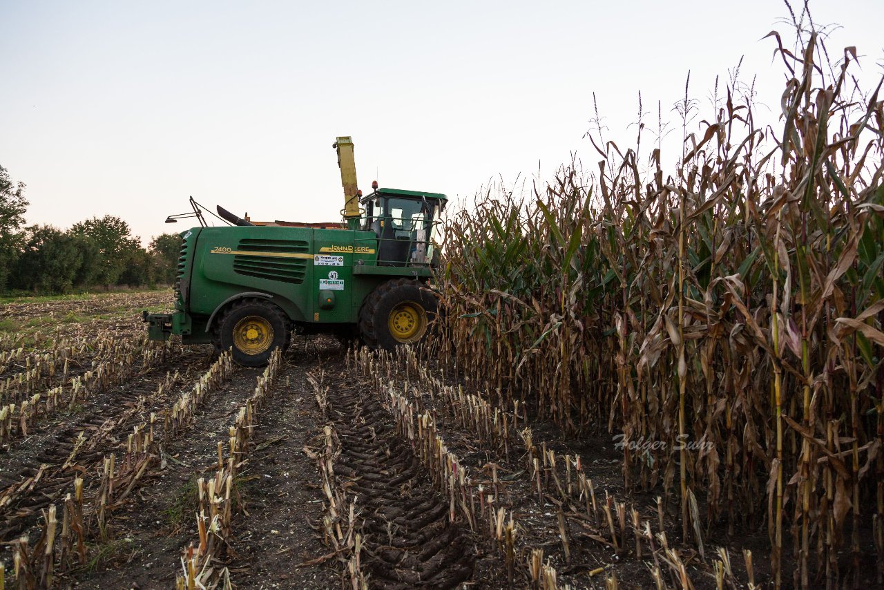 Bild 38 - Maisernte am 11.10.12